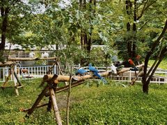 -哈尔滨北方森林动物园