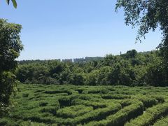 -大屏嶂森林公园