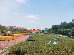 -天府芙蓉园