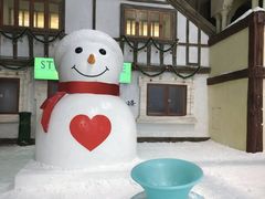 -世界之窗阿尔卑斯冰雪世界