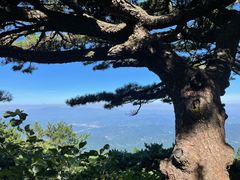 -罗田薄刀峰风景区