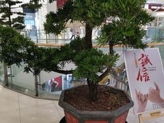 -凯德广场(学府店)