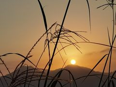 -西涌国际滨海旅游区