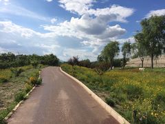 -永定河休闲森林公园