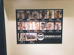-逗柴咖啡屋·狗咖猫咖宠物桌游