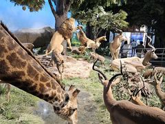 -国家自然博物馆