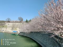 -樱花山风景区