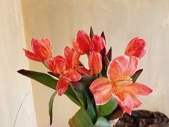 -森野花艺培训·企业团建活动沙龙