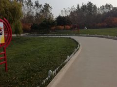 -塘沽森林公园