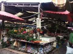 -曲阳花鸟市场(曲阳路店)