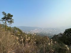 -桃花岭景区