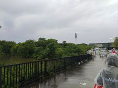 -上海国际音乐村