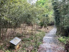 -潜山国家森林公园