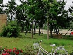 -羊亭河湿地公园