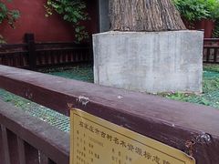 -天宁寺