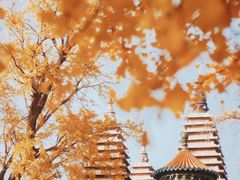-北京石刻艺术博物馆(五塔寺)