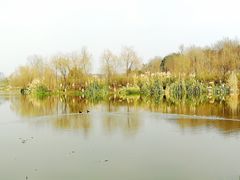 -白鹭湾湿地公园