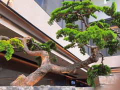 -四季民福烤鸭店(外滩外白渡桥店)