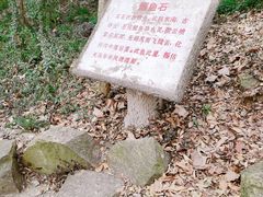 -上海佘山国家森林公园天马山园