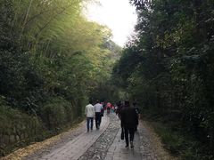 -紫金山天文台