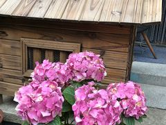 -慢丽江·云南野生菌土鸡锅(付家庄店)