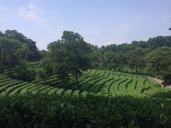 iphone_upload_pic-东部华侨城