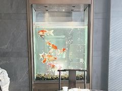 -浩运·海鲜青岛菜·海胆水饺(石老人店)