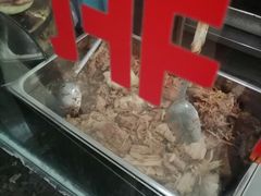 -樊记腊汁肉(竹笆市总店)