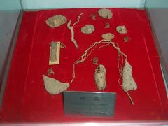 -上海昆虫博物馆