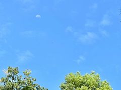 -黄山太平湖风景区