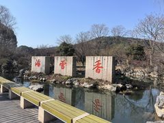 -香雪海