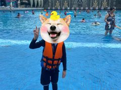 -苏州乐园森林水世界