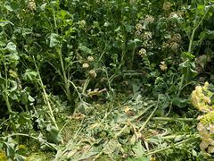 -中国天府农业博览园