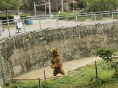 -无锡动物园·太湖欢乐园