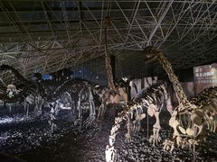 -世界恐龙谷景区