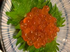 -左舞日本料理
