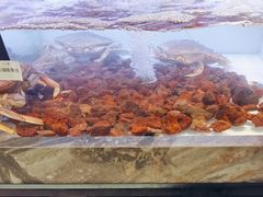 -章吴记喜瑞餐厅(东东城店)