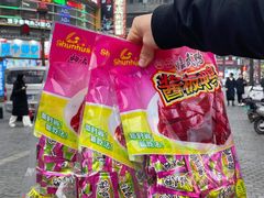 -舜华临武鸭·湖南零食特产(三王街店)