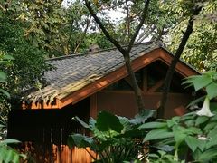 -成都市活水公园