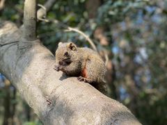 -云南野生动物园