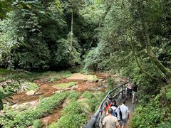 -中国大熊猫保护研究中心雅安碧峰峡基地