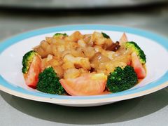 -双子楼大酒店(城开国际写字楼店)