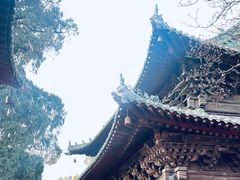 -报恩寺(平武县)