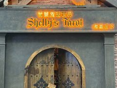 -雪灵魔法世界SHELLY’S TAROT(大良桂畔里店)