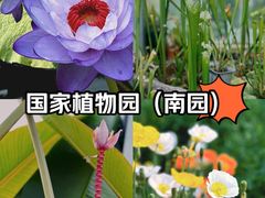 -国家植物园南园