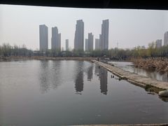 -前关湿地公园