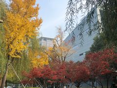 -星巴克(苏州建屋店)