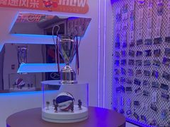 -翼速篮球·儿童体适能·中考体育(鲁能城店)