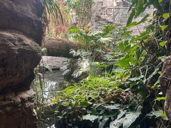 -北京植物园-展览温室