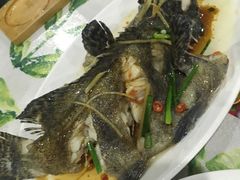 -四姑娘川味海鲜(八爪鱼店)